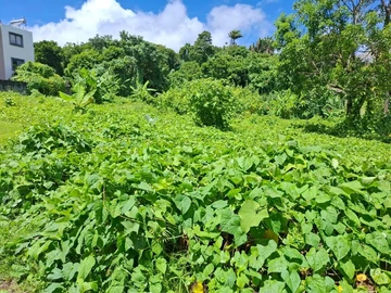 Residential Land