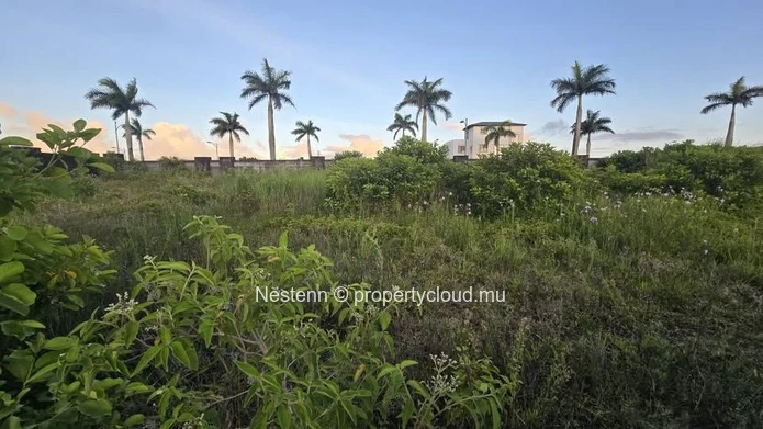 FOR SALE – Exceptional Residential Plot in Aurea, Moka