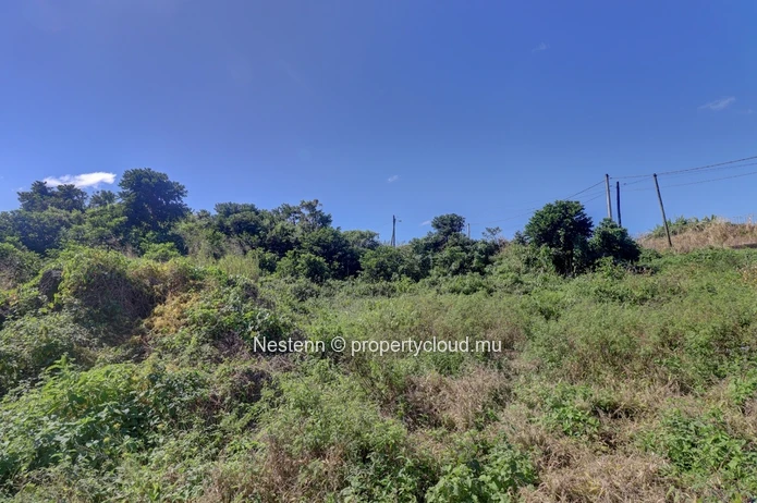 Agricultural land of 52 perches