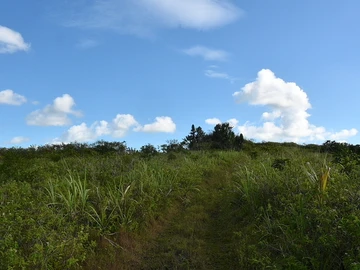 Agricultural Land