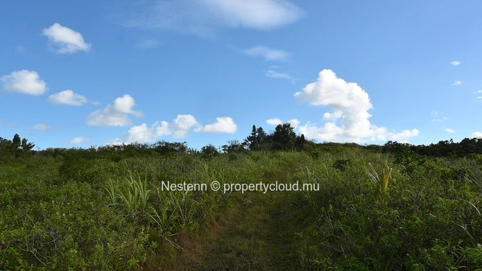 Agricultural land of 12,664 m² 