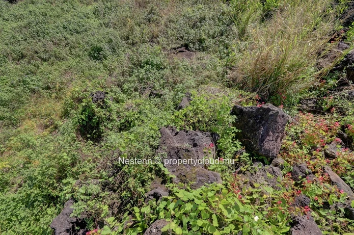 Agricultural land of 52 perches