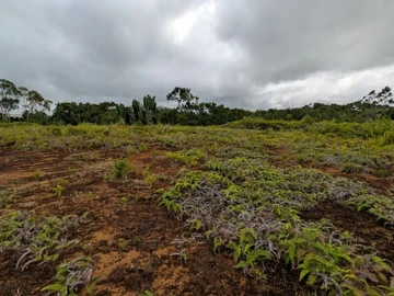 Residential Land