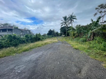 Residential Land