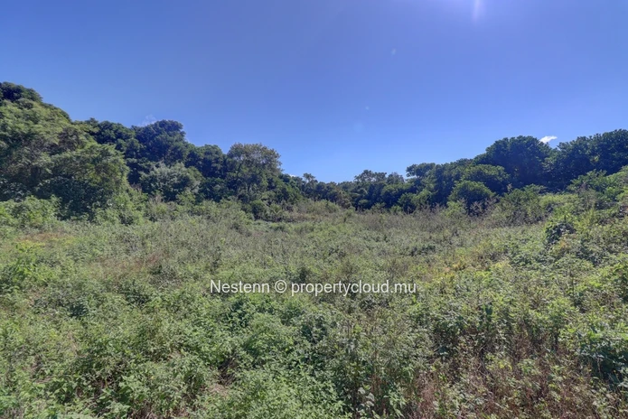 Agricultural land of 52 perches