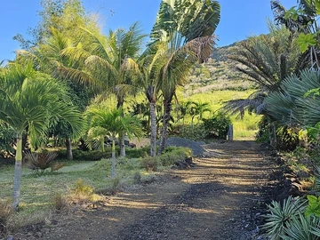 Residential Land