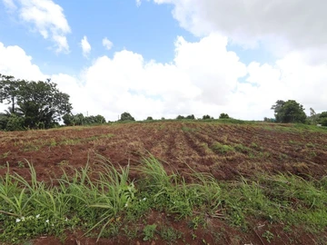 Residential Land
