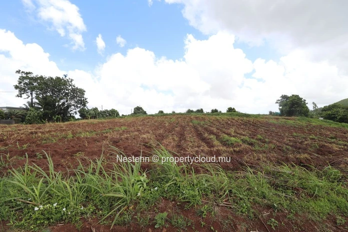 Terrain résidentiel avec vue imprenable sur les montagnes (Lot 2)