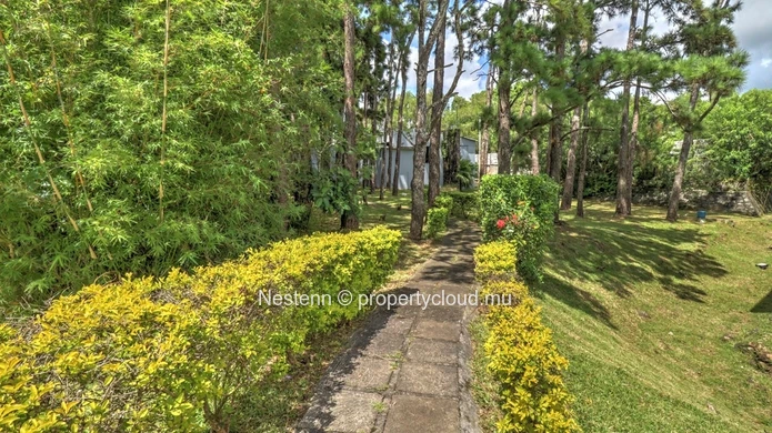 Spacious land of 3250.07 m² 
