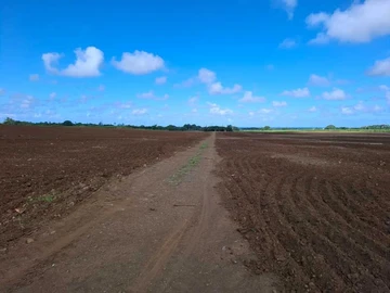 Commercial Land