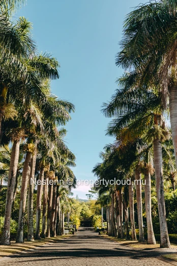 Mountain view land of 1575 m² in an exceptional estate 