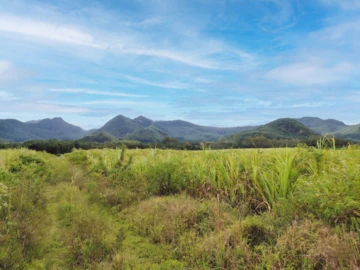 Agricultural Land