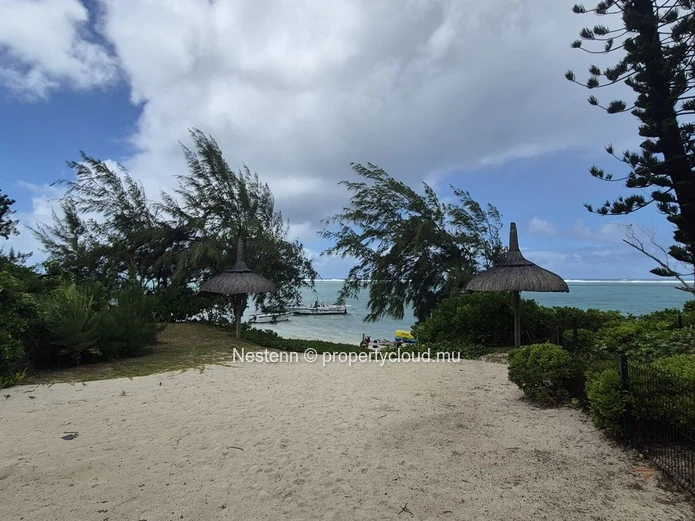 Vie en bord de mer sur la côte Est