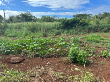 Residential Land