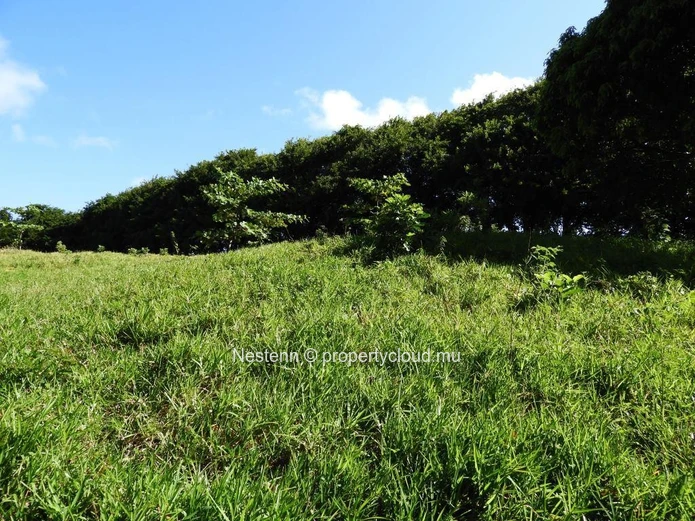 Stunning residential seafront freehold land of 200 perches in the South