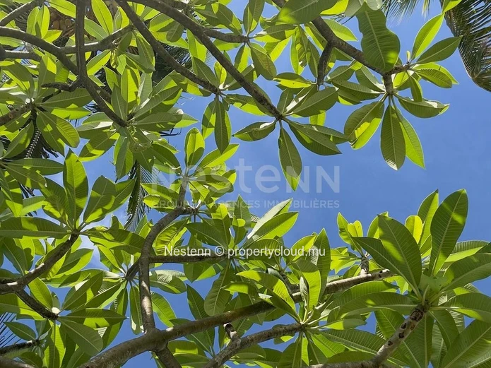 Residential land in gated Estate - Approx 50 perches