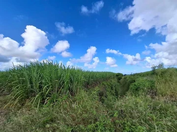 Agricultural Land
