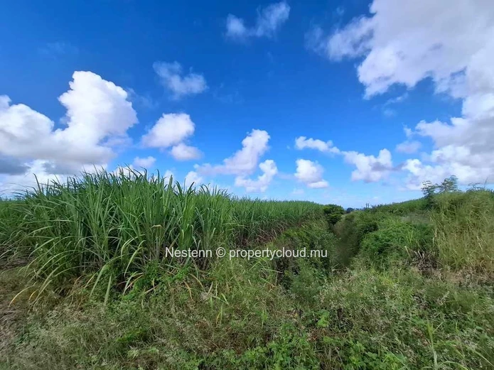 Terrain de 92604 m² avec vue montagne.