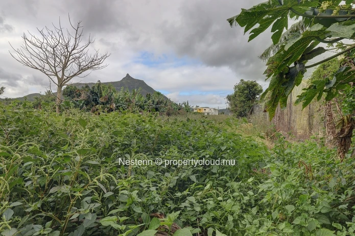Residential land of 1011.7m2