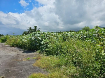 Residential Land