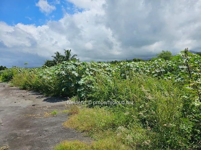 Terrain de 1081 m² proche de la plage