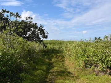 Agricultural Land