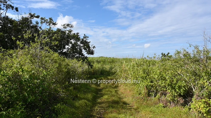 Agricultural land of 12,664 m² 