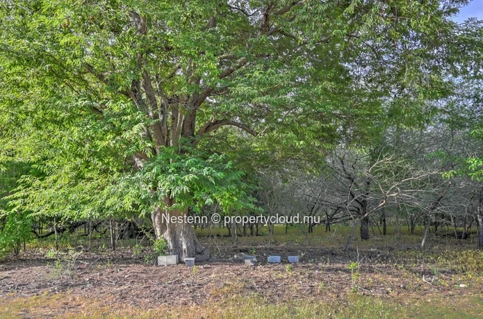 Terrain d'exception de 2 167,66 m² 