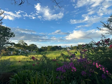 Residential Land