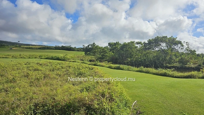 Spectacular 4,600 m² residential corner plot 