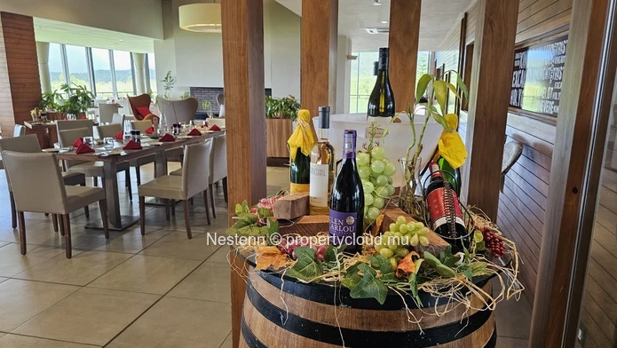 Spectacular 4,600 m² residential corner plot 