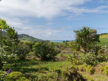 Residential Land