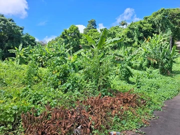 Residential Land