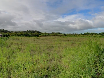 Agricultural Land