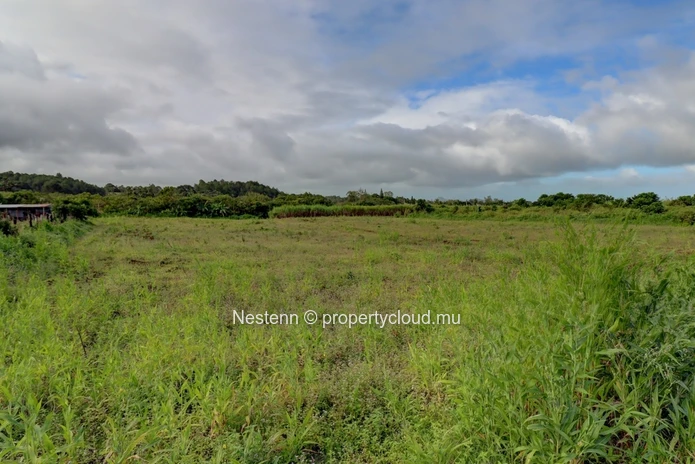 2 Acres of Land 