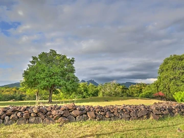 Residential Land