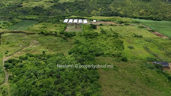 Agricultural land of 12,491.13 m², ideally located in the peaceful and green surroundings 
