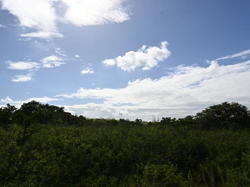 Agricultural Land