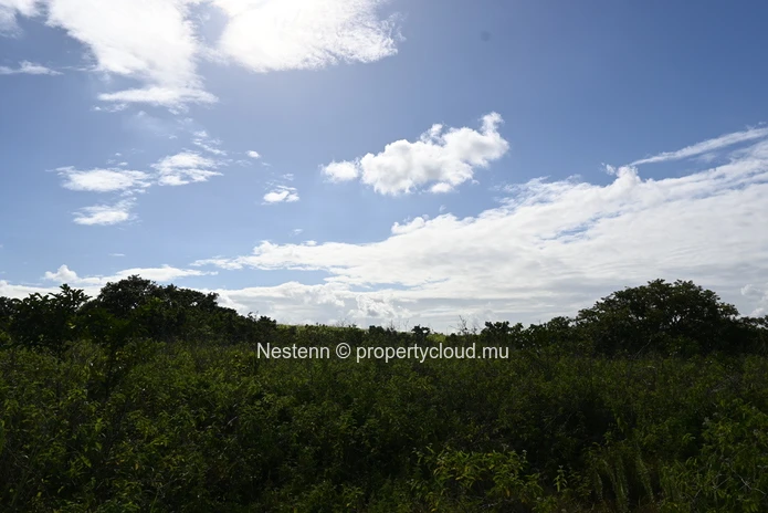 Agricultural land of 12,664 m² 
