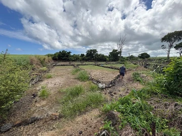 Agricultural Land