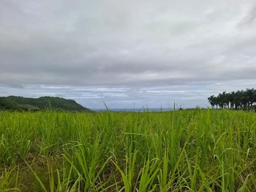 Agricultural Land