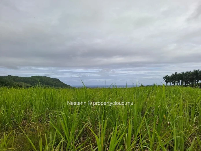 Agricultural land of 12,491.13 m², ideally located in the peaceful and green surroundings 
