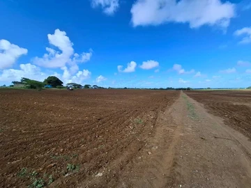Commercial Land