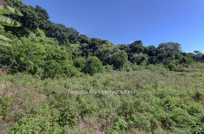 Agricultural land of 52 perches