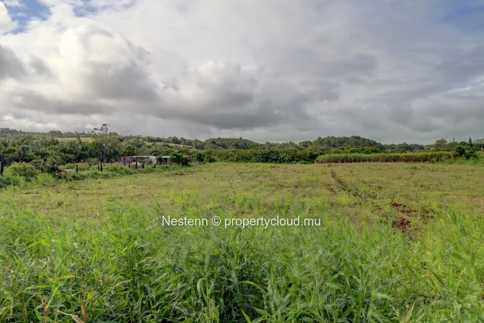 2 Acres of Land 