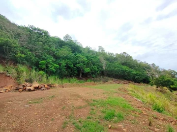 Agricultural Land