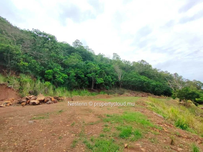 5-arpent land with full ownership.