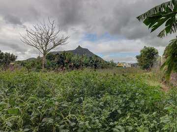 Residential Land