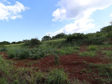 Residential Land