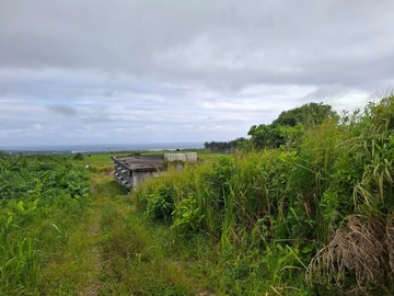 Agricultural Land